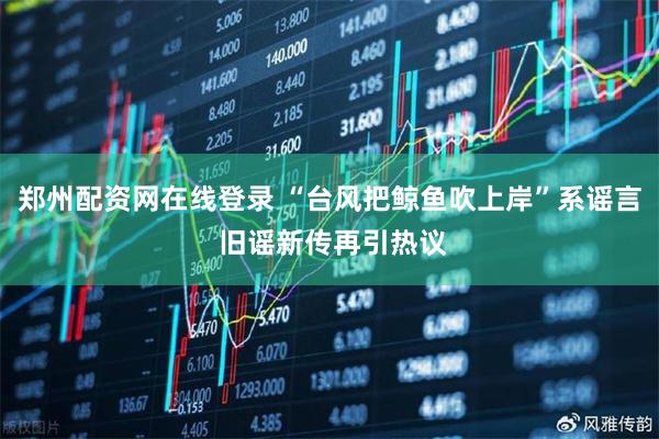 郑州配资网在线登录 “台风把鲸鱼吹上岸”系谣言 旧谣新传再引热议