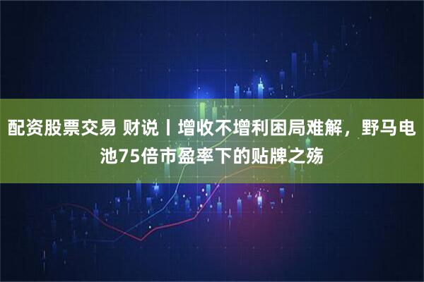 配资股票交易 财说丨增收不增利困局难解，野马电池75倍市盈率下的贴牌之殇