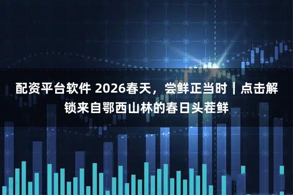 配资平台软件 2026春天，尝鲜正当时｜点击解锁来自鄂西山林的春日头茬鲜