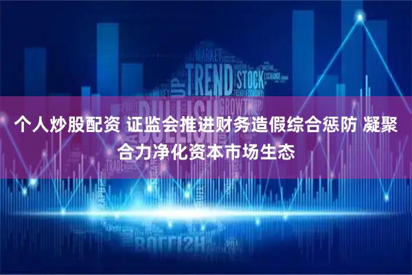 个人炒股配资 证监会推进财务造假综合惩防 凝聚合力净化资本市场生态